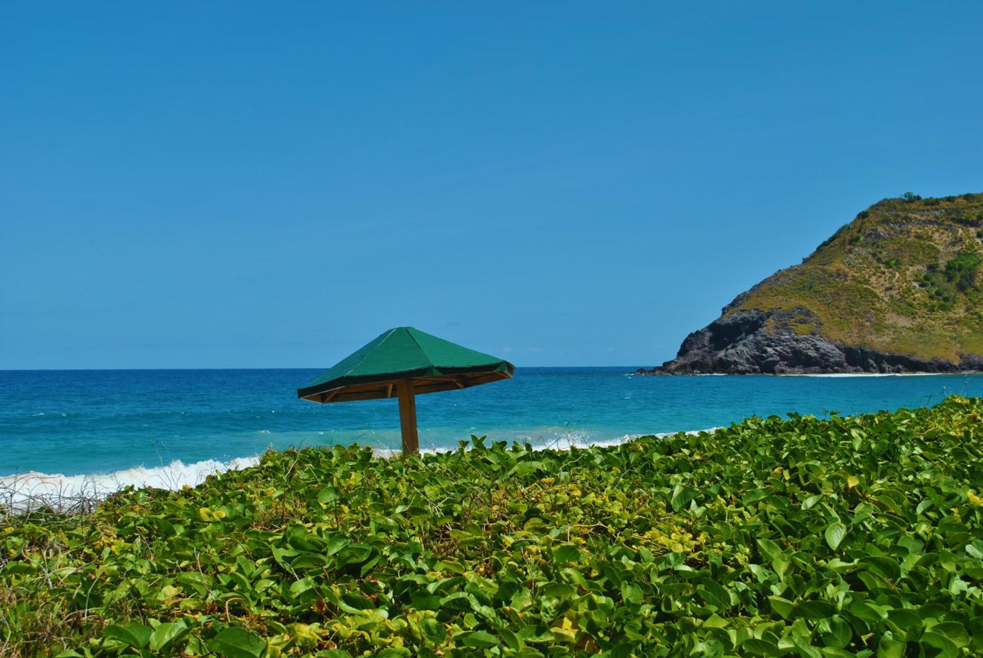 Sugar Bay Club Hotell Basseterre Rum bild